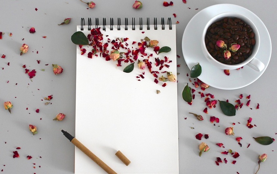 Qué necesito para empezar a escribir artículos